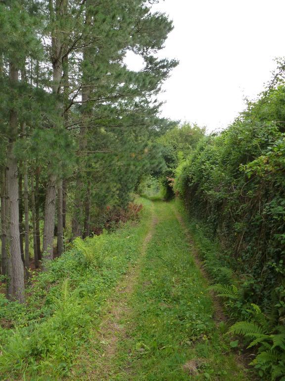Viviendas Rurales Aldea De Dosamantes *