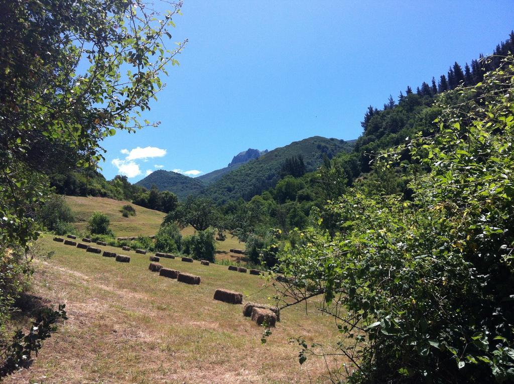 Landhaus Viviendas Rurales Aldea De Dosamantes *